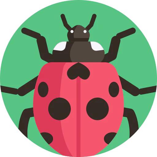 Ladybug icon