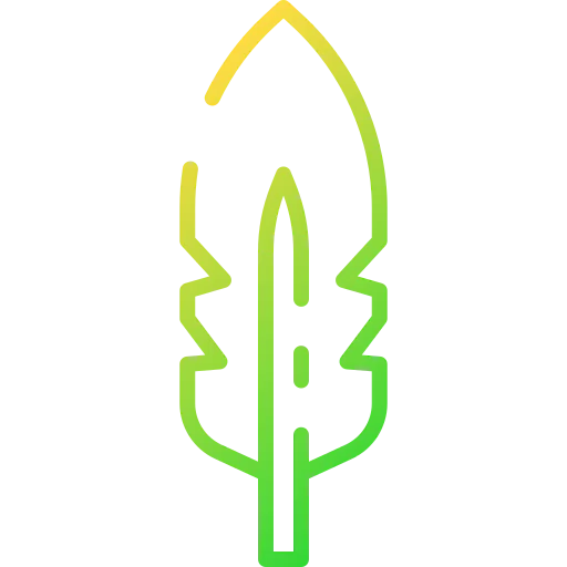 Feather icon