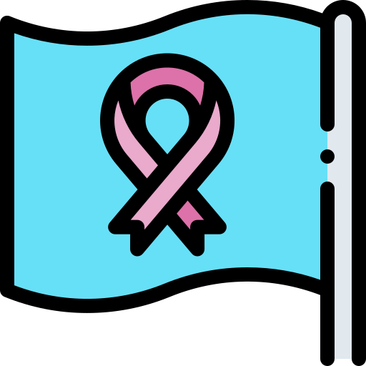 Flag icon