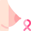 Breast cancer Ikona 64x64