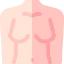 Breast icon 64x64