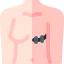 Breast cancer Ikona 64x64
