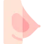 Breast implant icon 64x64