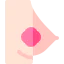Breast cancer Ikona 64x64