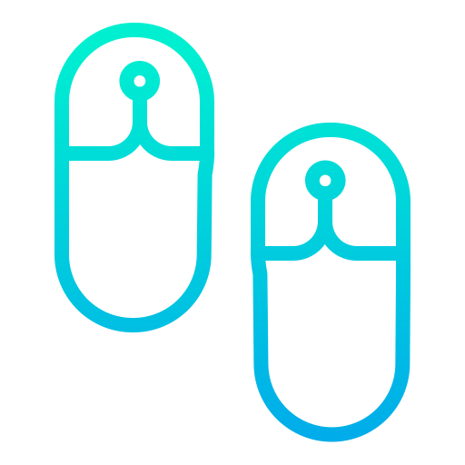 Flip flops icon