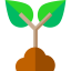 Sprout icon 64x64