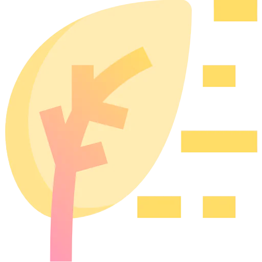 Windy icon
