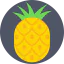 Pineapple icon 64x64