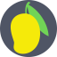 Loquat icon 64x64