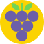 Grapes icon 64x64