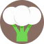 Broccoli icon 64x64