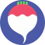 Radish icon 64x64