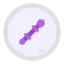 Scepter icon 64x64