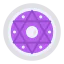Solomon icon 64x64