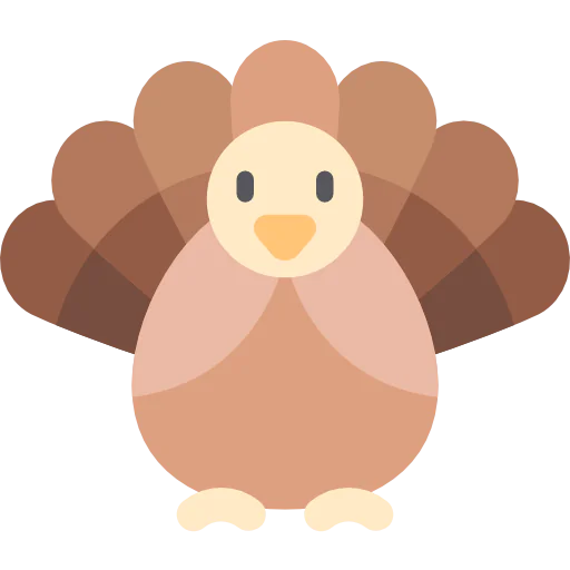 Turkey icon
