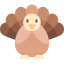 Turkey icon 64x64