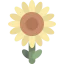 Sunflower icon 64x64