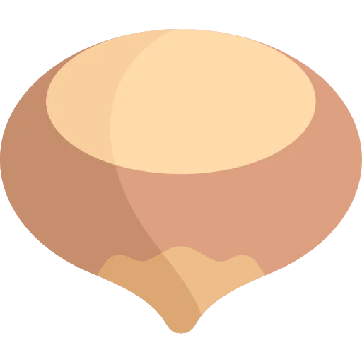 Hazelnut icon
