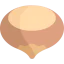 Hazelnut icon 64x64