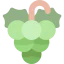 Grapes icon 64x64