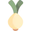 Onion icon 64x64