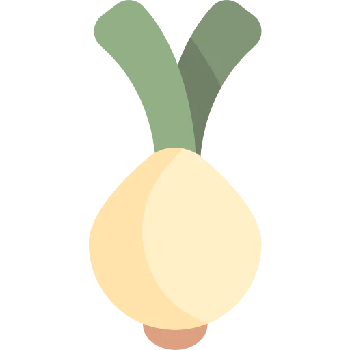 Onion icon