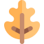 Leaf icon 64x64