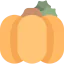 Pumpkin icon 64x64