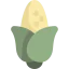 Corn icon 64x64