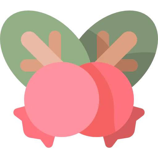 Berries icon