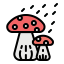 Mushrooms icon 64x64
