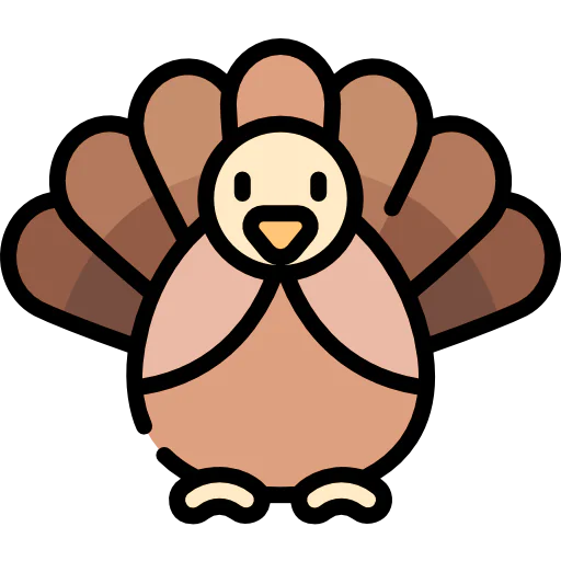 Turkey icon