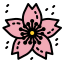 Sakura icon 64x64