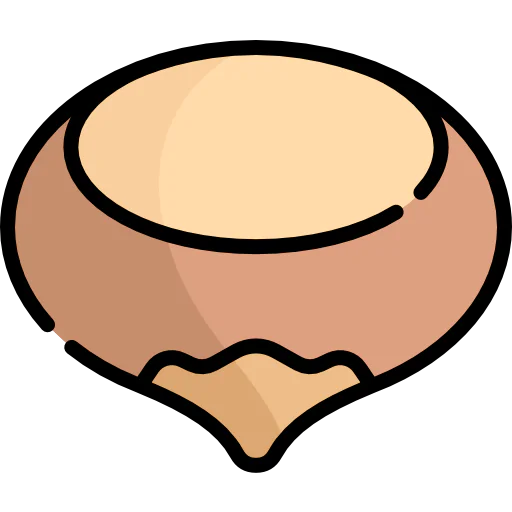 Hazelnut icon