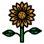 Sunflower icon 64x64