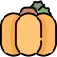 Pumpkin icon 64x64