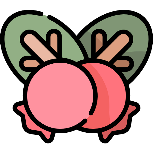 Berries icon
