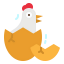 Chick icon 64x64