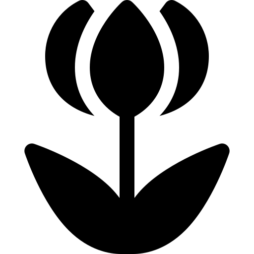 Macro Ikona