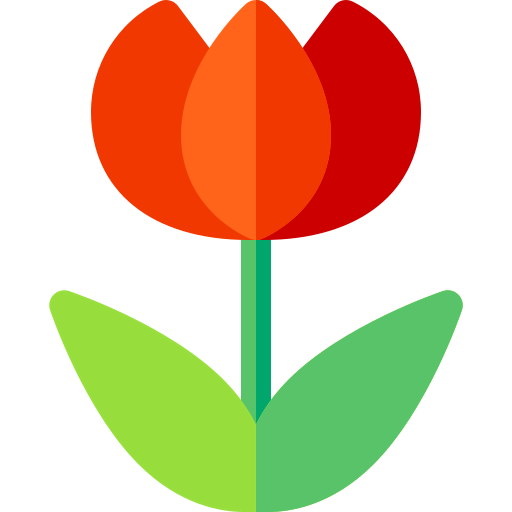 Macro icon