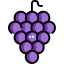 Grapes icon 64x64