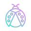 Ladybug icon 64x64