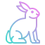 Rabbit icon 64x64