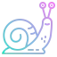 Snail icon 64x64