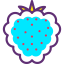 Raspberry icon 64x64