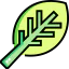 Leaf icon 64x64