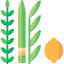 Four species icon 64x64