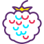 Berries Ikona 64x64