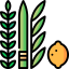 Four species icon 64x64