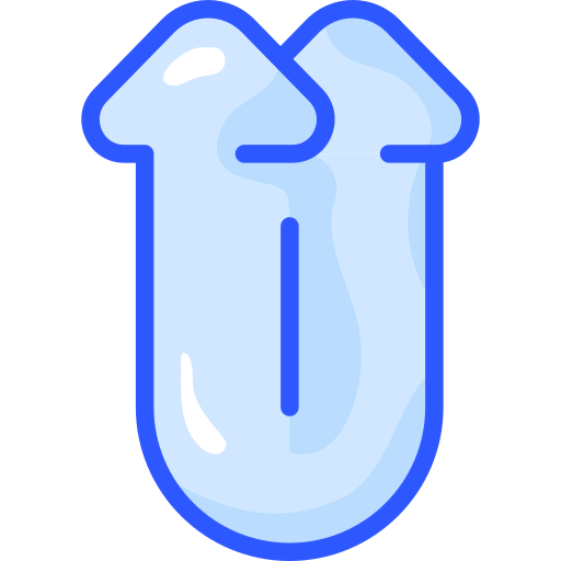 Double arrows icon